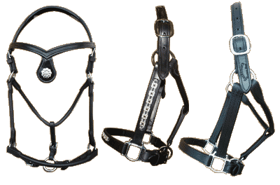 Rolled Show Halter, Swarovski and Stable Halter