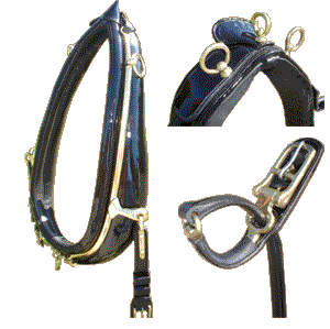 Carriage Harness