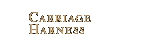 Carriage Harness